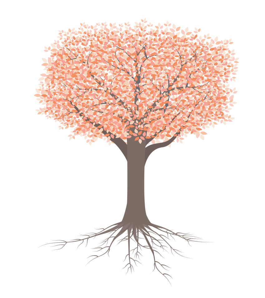 Räddningsmissionens värdegrund