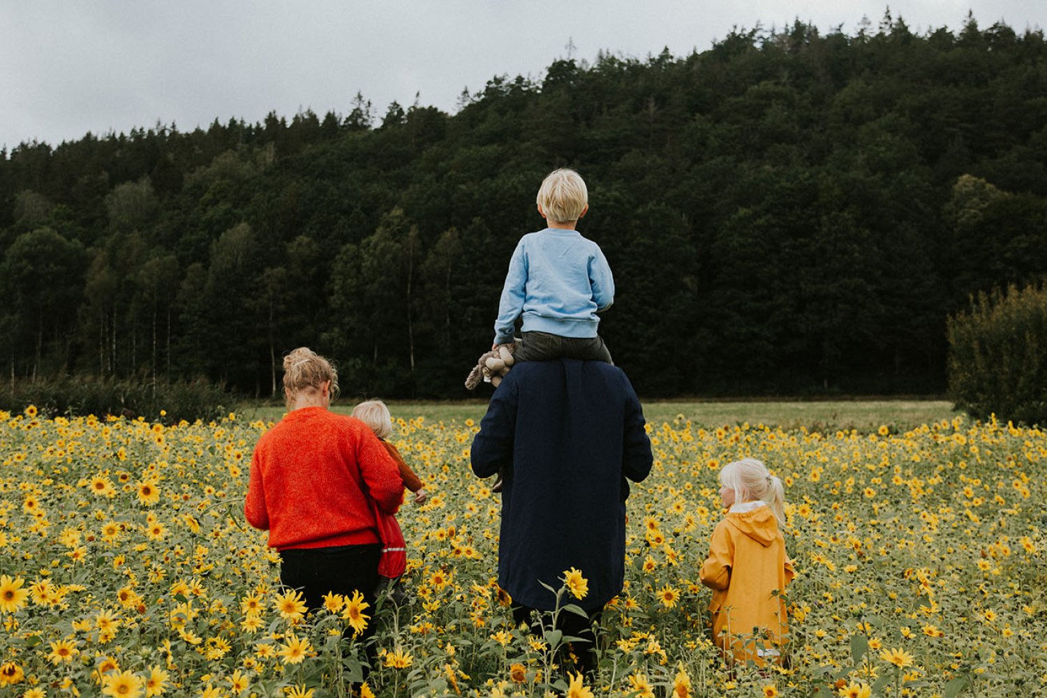 En familj med mamma, pappa och tre barn går i ett solrosfält.